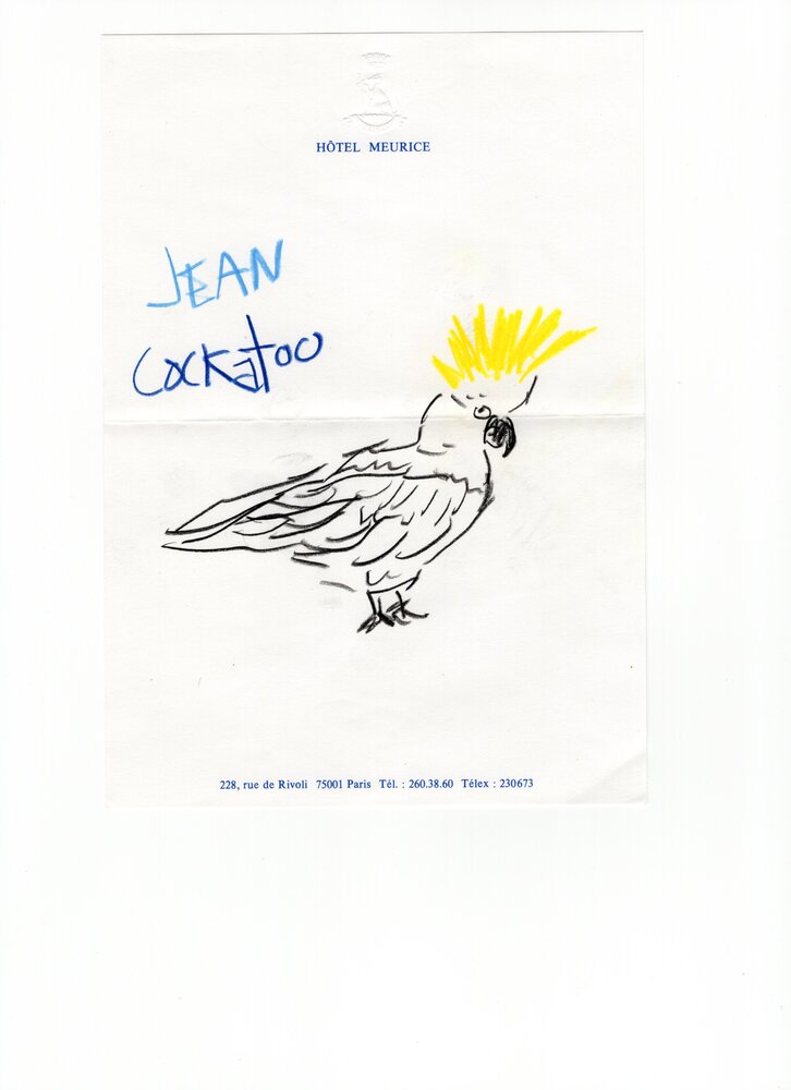 Room Service book - Illustration by Michael McGregor 